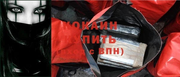 дурь Дмитриев