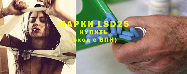 spice Струнино