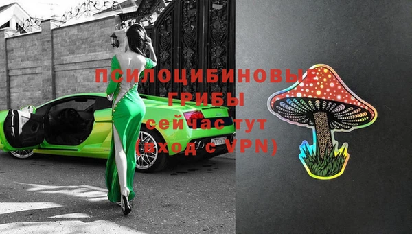 дурь Дмитриев