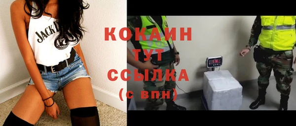 дурь Дмитриев