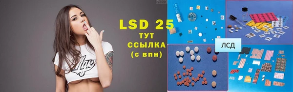 шишки Дмитров
