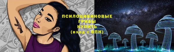 дживик Ступино