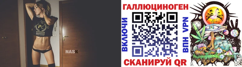 наркота Тында Псилоцибиновые грибы Psilocybine cubensis