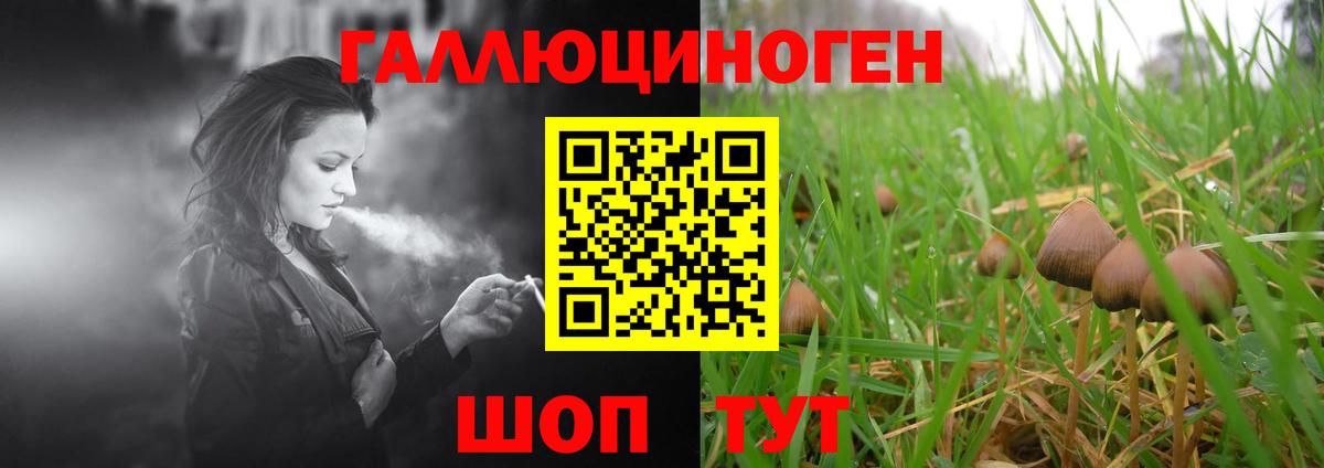 Псилоцибиновые грибы ЛСД Тында
